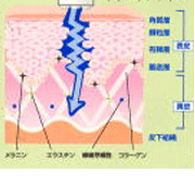 エステ美容機器＞ エレクトロポレーション｜エステ 美容機器専門