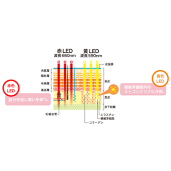 LED LightSpa（LEDライトスパ）