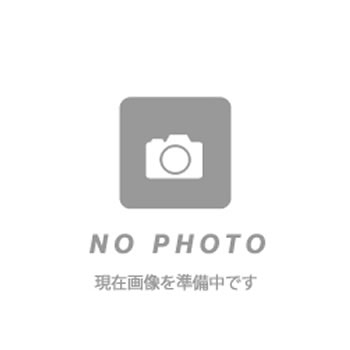 RUNWAY Phot Shower（ランウェイフォトシャワー）